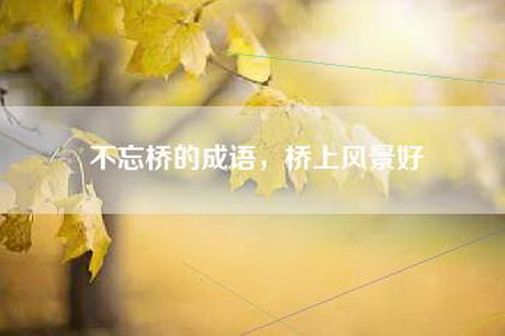 不忘桥的成语，桥上风景好