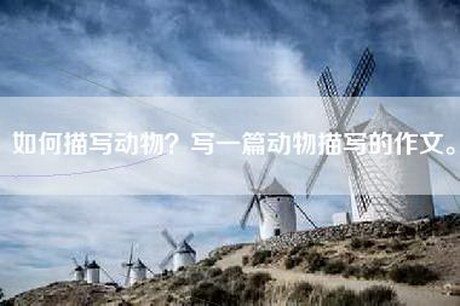 如何描写动物？写一篇动物描写的作文。