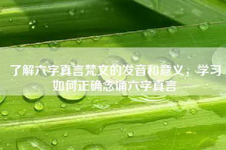 了解六字真言梵文的发音和意义，学习如何正确念诵六字真言