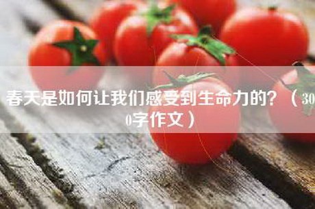 春天是如何让我们感受到生命力的？（300字作文）