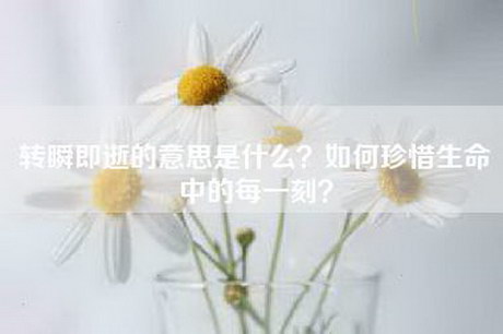 转瞬即逝的意思是什么？如何珍惜生命中的每一刻？
