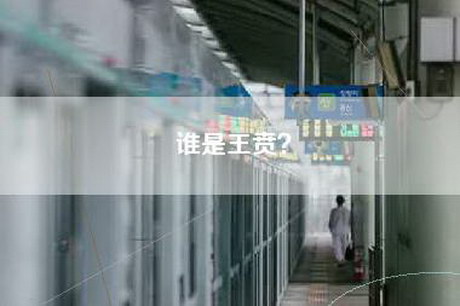 谁是王贲？