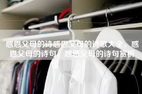 感恩父母的诗感恩父母的诗歌大全，感恩父母的诗句，感恩父母的诗句赏析