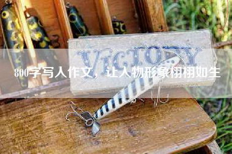 800字写人作文，让人物形象栩栩如生