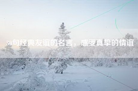 30句经典友谊的名言，感受真挚的情谊