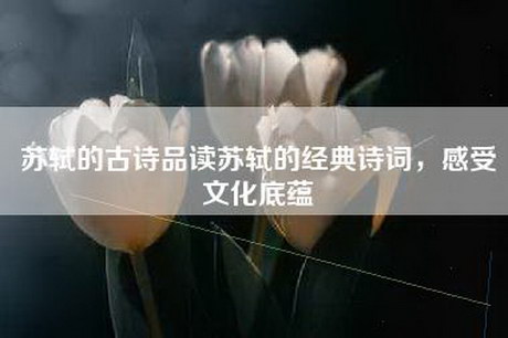 苏轼的古诗品读苏轼的经典诗词，感受文化底蕴