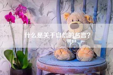 什么是关于自信的名言？