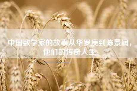 中国数学家的故事从华罗庚到陈景润，他们的传奇人生