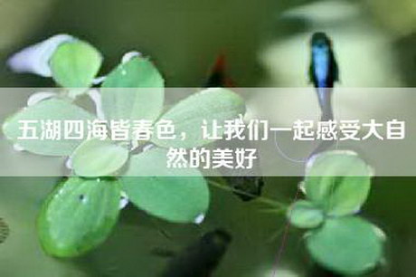 五湖四海皆春色，让我们一起感受大自然的美好