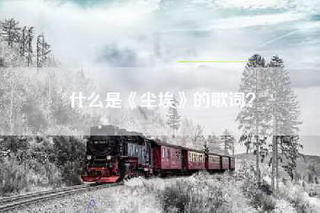 什么是《尘埃》的歌词？
