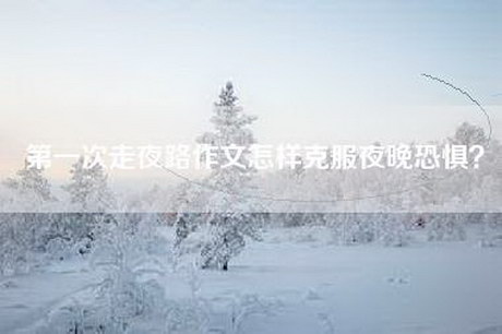 第一次走夜路作文怎样克服夜晚恐惧？