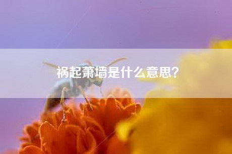 祸起萧墙是什么意思？