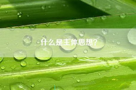 什么是主体思想？