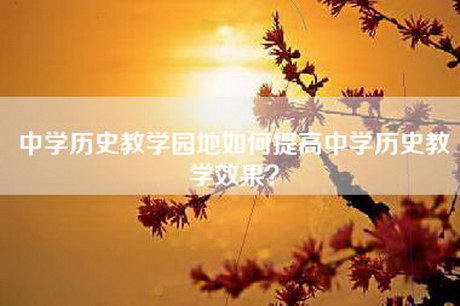 中学历史教学园地如何提高中学历史教学效果？