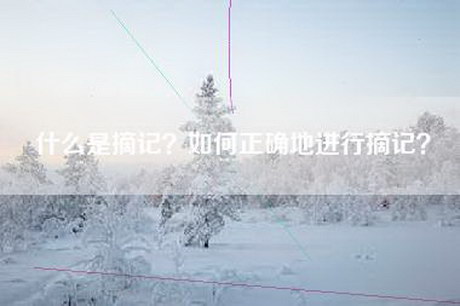 什么是摘记？如何正确地进行摘记？