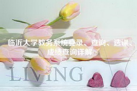 临沂大学教务系统登录、查询、选课、成绩查询详解
