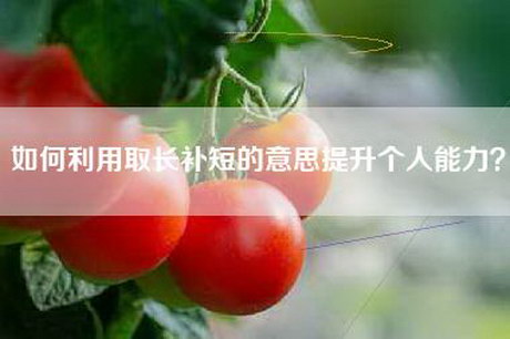 如何利用取长补短的意思提升个人能力？