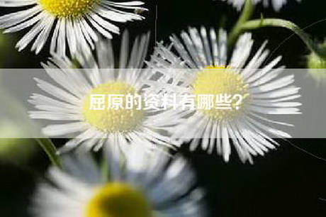 屈原的资料有哪些？