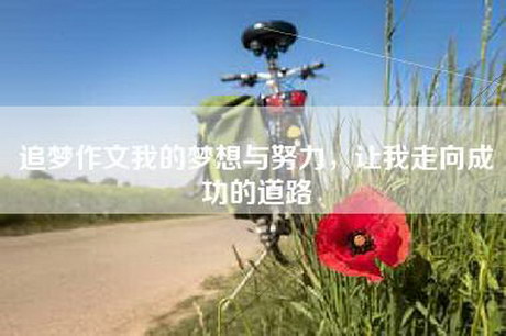 追梦作文我的梦想与努力，让我走向成功的道路
