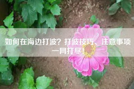 如何在海边打波?打波技巧、注意事项一网打尽! 如何在海边打波?打波技巧、注意事项一网打尽!