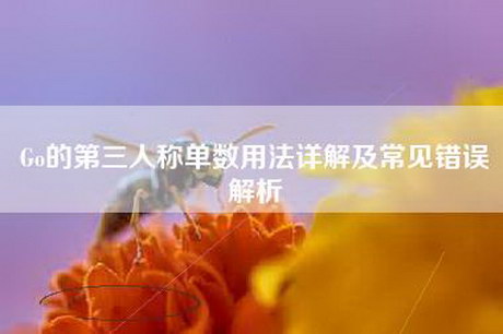 Go的第三人称单数用法详解及常见错误解析 Go的第三人称单数用法详解及常见错误解析