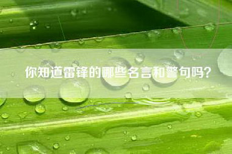 你知道雷锋的哪些名言和警句吗? 你知道雷锋的哪些名言和警句吗?