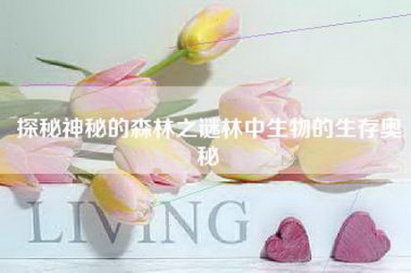 探秘神秘的森林之谜林中生物的生存奥秘 探秘神秘的森林之谜林中生物的生存奥秘