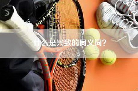 什么是兴致的同义词? 什么是兴致的同义词?