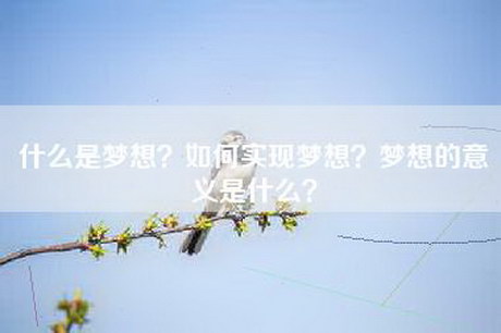 什么是梦想？如何实现梦想？梦想的意义是什么？