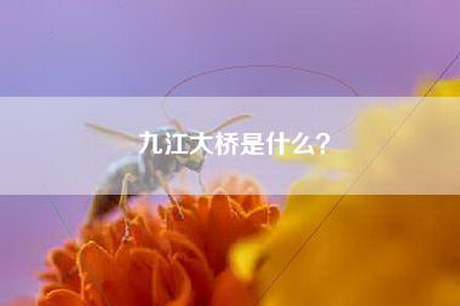 九江大桥是什么? 九江大桥是什么?