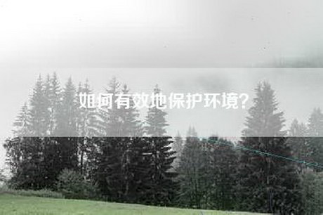 如何有效地保护环境? 如何有效地保护环境?
