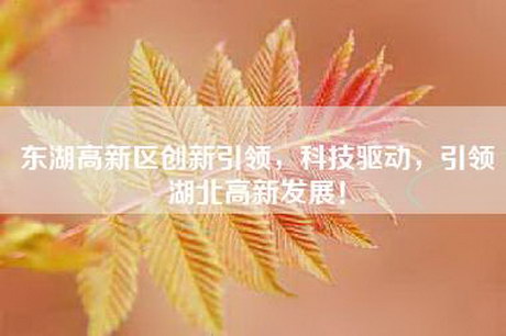 东湖高新区创新引领，科技驱动，引领湖北高新发展！