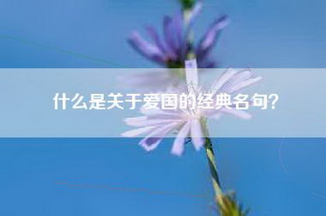 什么是关于爱国的经典名句? 什么是关于爱国的经典名句?