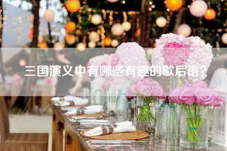 三国演义中有哪些有趣的歇后语？