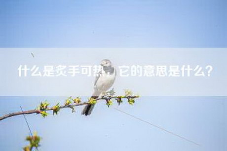 什么是炙手可热，它的意思是什么？