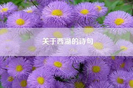 关于西湖的诗句
