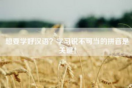 想要学好汉语？学习锐不可当的拼音是关键！