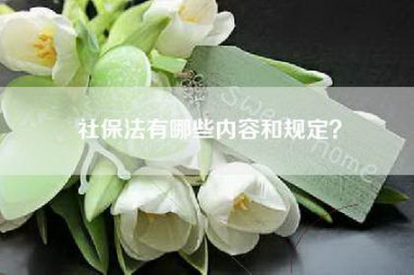 社保法有哪些内容和规定? 社保法有哪些内容和规定?