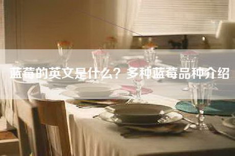 蓝莓的英文是什么？多种蓝莓品种介绍