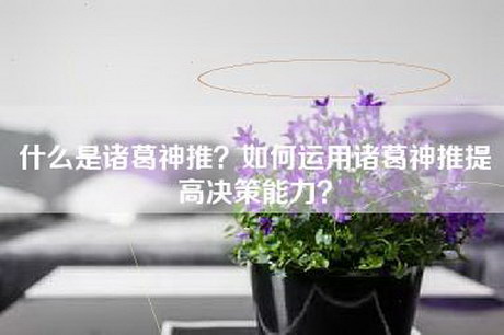 什么是诸葛神推?如何运用诸葛神推提高决策能力? 什么是诸葛神推?如何运用诸葛神推提高决策能力?