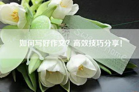 如何写好作文？高效技巧分享！