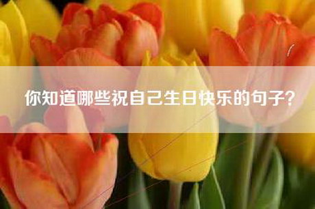 你知道哪些祝自己生日快乐的句子? 你知道哪些祝自己生日快乐的句子?
