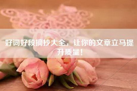 好词好段摘抄大全,让你的文章立马提升质量! 好词好段摘抄大全,让你的文章立马提升质量!