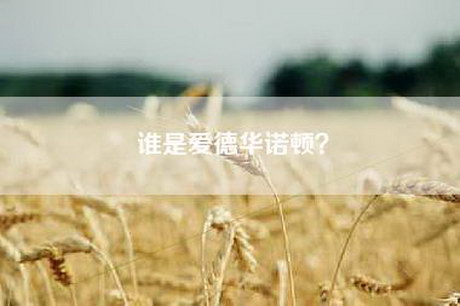 谁是爱德华诺顿? 谁是爱德华诺顿?