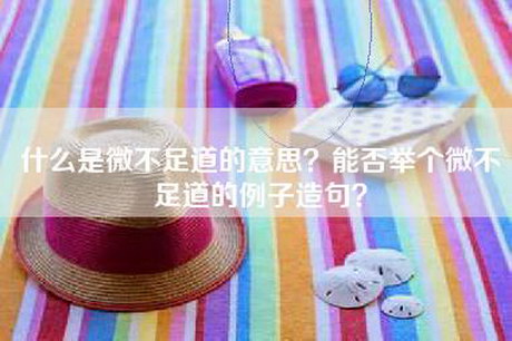 什么是微不足道的意思？能否举个微不足道的例子造句？