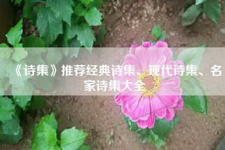 《诗集》推荐经典诗集、现代诗集、名家诗集大全