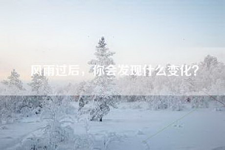 风雨过后，你会发现什么变化？