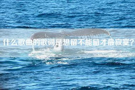 什么歌曲的歌词是想留不能留才最寂寞？