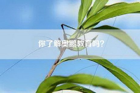 你了解奥鹏教育吗？