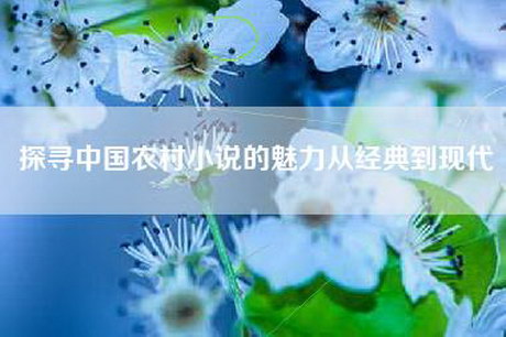 探寻中国农村小说的魅力从经典到现代
